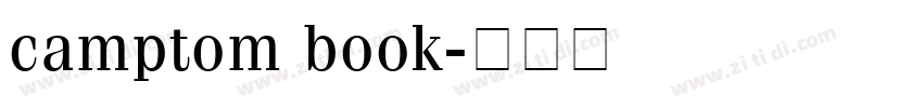 camptom book字体转换